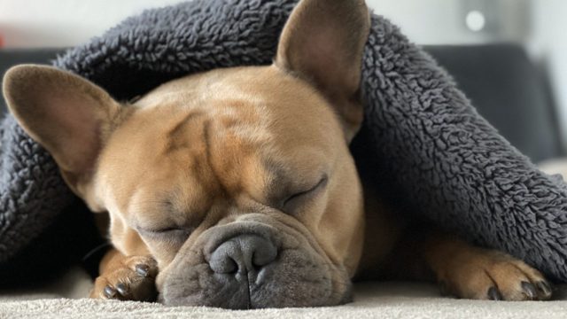good_sleep